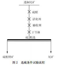 選硫?qū)嶒灹鞒虉D