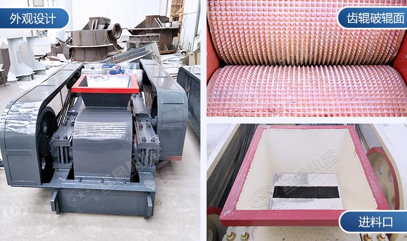 對(duì)輥破碎機(jī)結(jié)構(gòu)細(xì)節(jié)圖